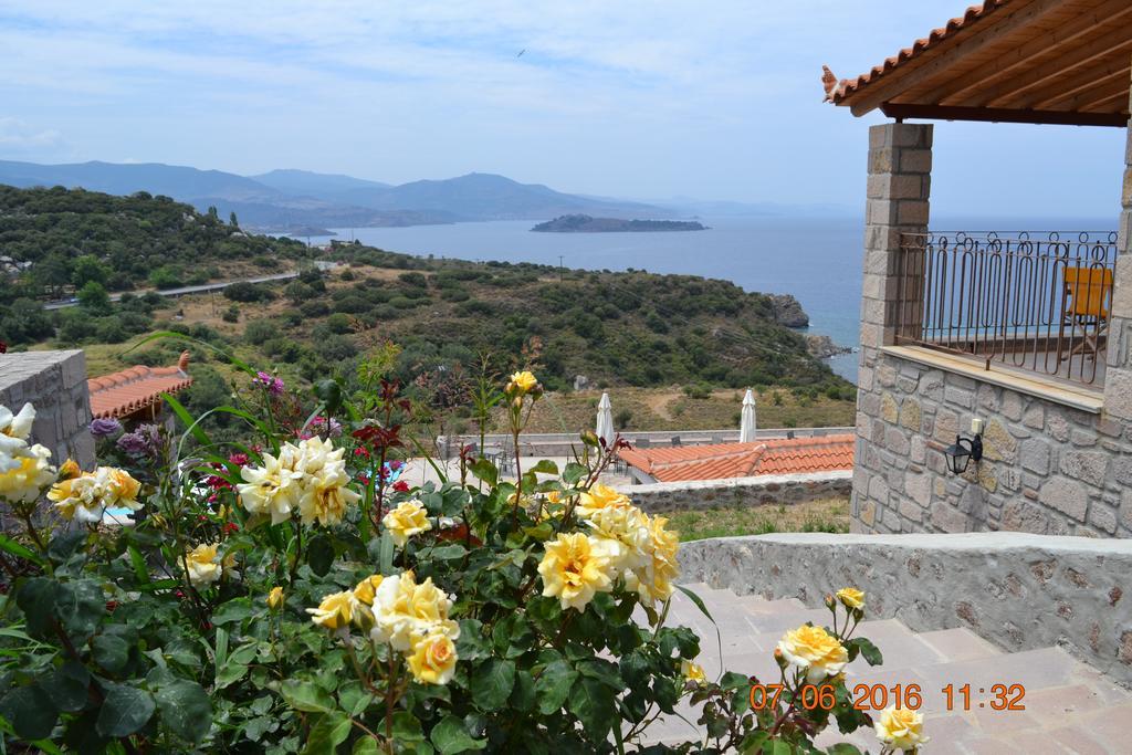 Villa Molivos Castle 米蒂姆纳 外观 照片